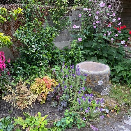 Herb Cottage Bradford-On-Avon Exterior photo